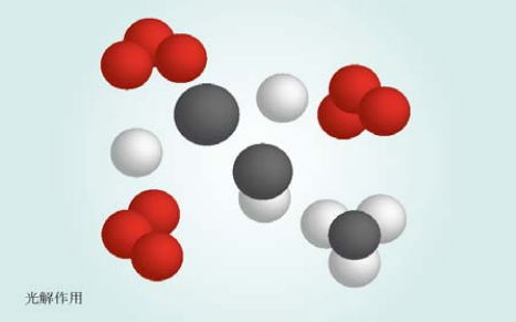 萬綠通環(huán)?？萍?png